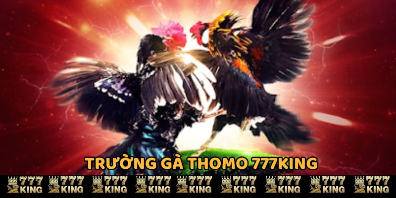 Trường gà Thomo 777KING