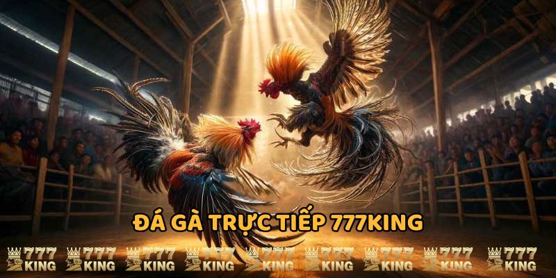 Đá gà trực tiếp 777king hình đại diện