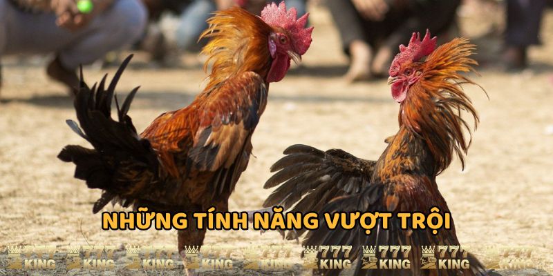 Đá gà trực tiếp 777king tính năng