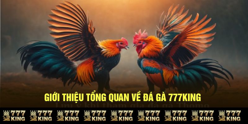 Giới thiệu tổng quan về đá gà 777KING